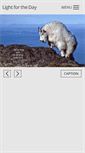 Mobile Screenshot of lightfortheday.com